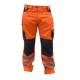 PANTALON CARGO HW DAKOTA NARANJO