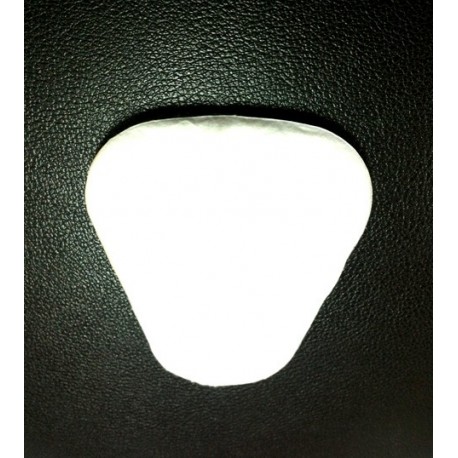 PREFILTRO M600 (contra particulas solidas y acuosas)